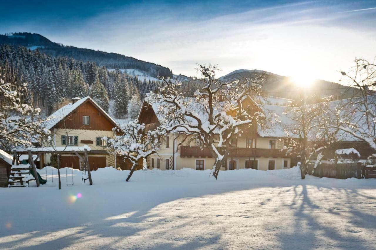 Moserhof ハウス・イム・エンスタール エクステリア 写真