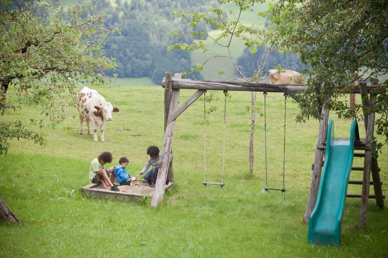 Moserhof ハウス・イム・エンスタール エクステリア 写真