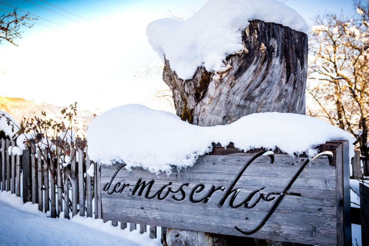 Moserhof ハウス・イム・エンスタール エクステリア 写真